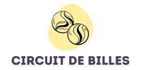 Circuit de billes en bois
